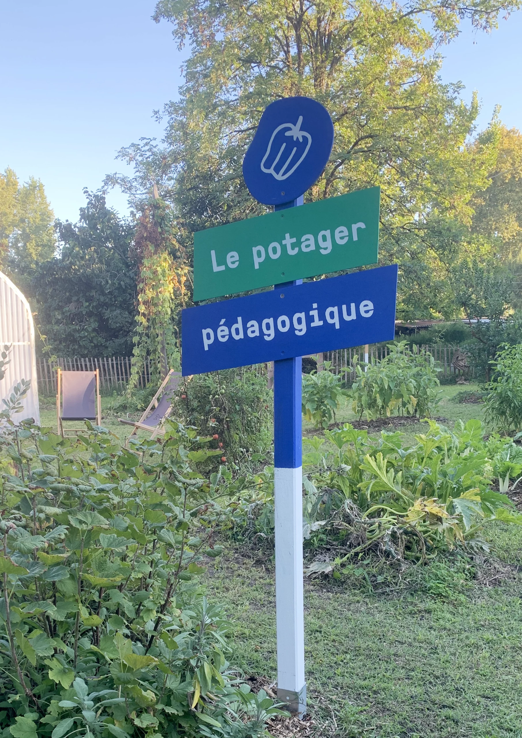 Le wagon vert